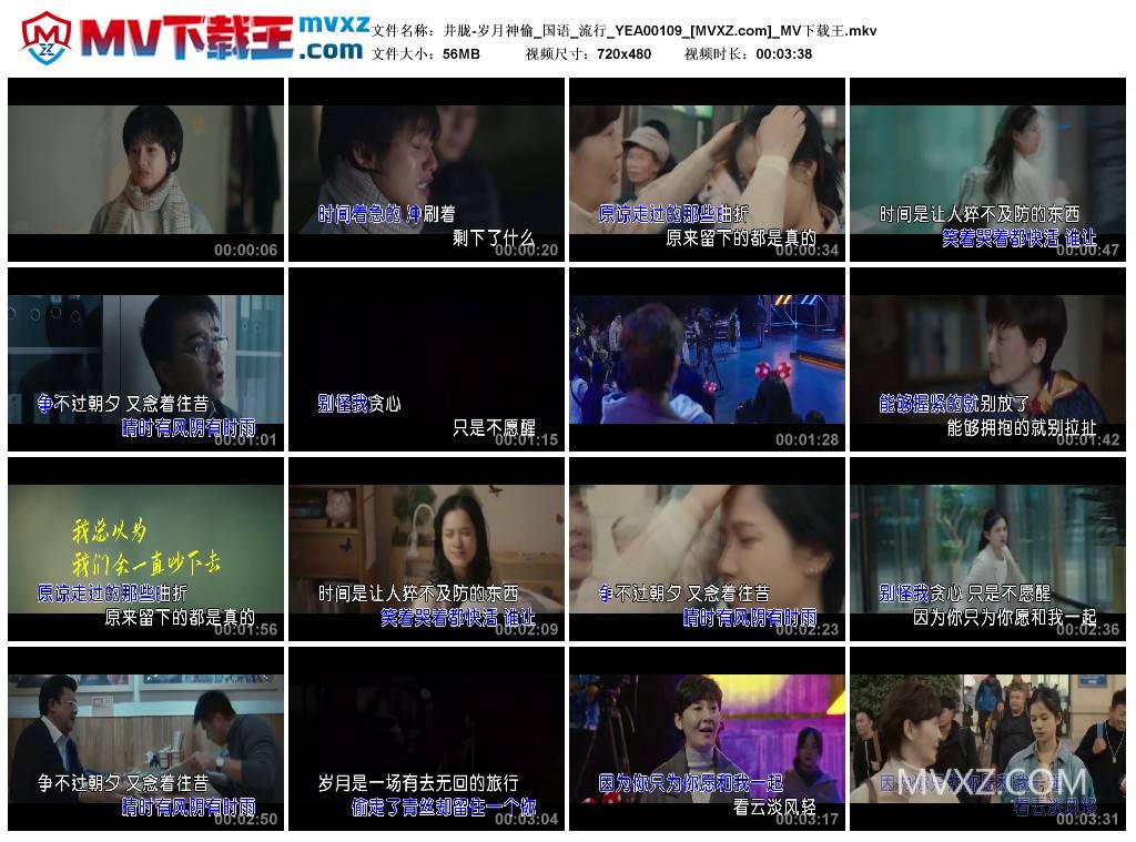 井胧-岁月神偷_国语_流行_YEA00109